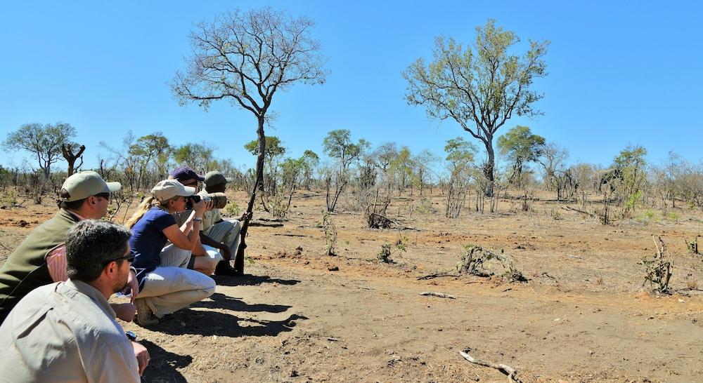 Hoyo Hoyo Safari Lodge Mluwati Concession Exterior foto