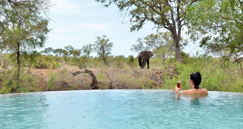 Hoyo Hoyo Safari Lodge Mluwati Concession Exterior foto