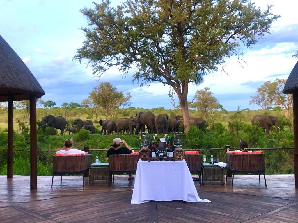 Hoyo Hoyo Safari Lodge Mluwati Concession Exterior foto